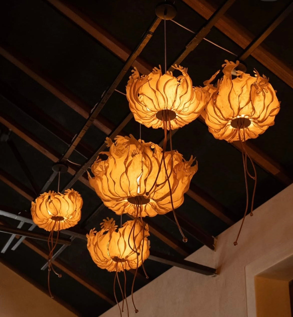 Luxury Lighting for / Elegant Spaces